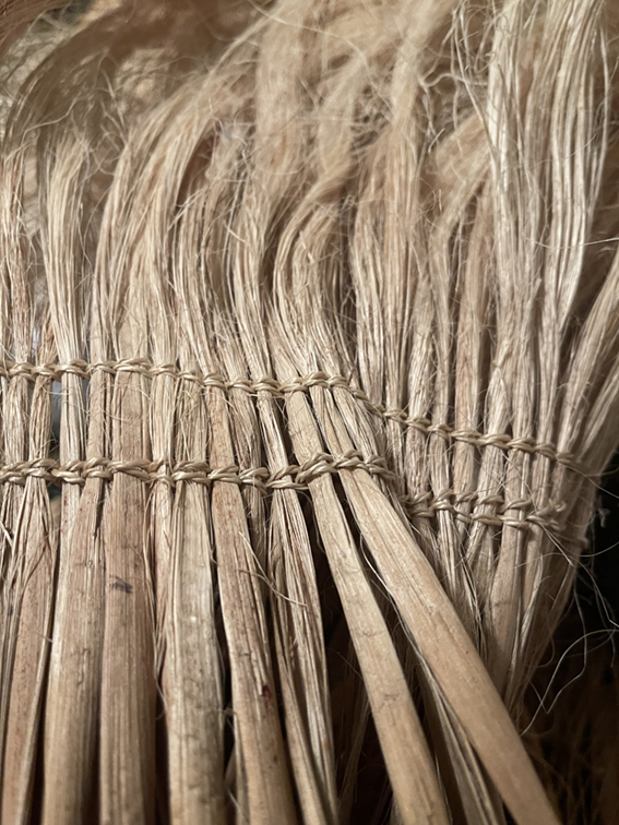 Tī-kouka-sm.jpg