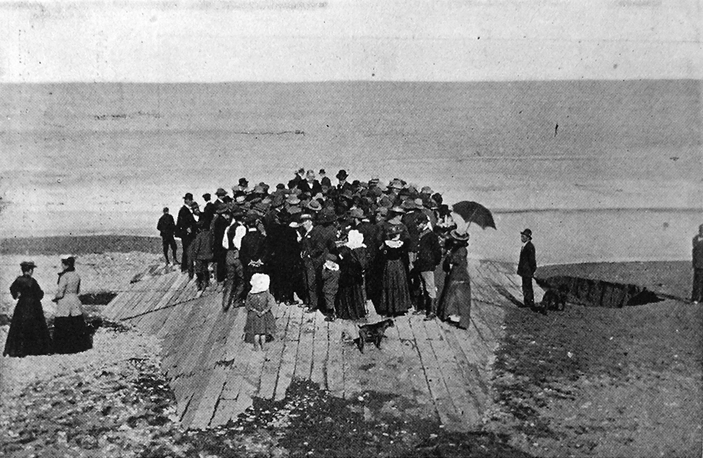 Waihora-opening-sm.jpg